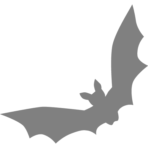 Professional Bat Removal & Exclusion Calgary
