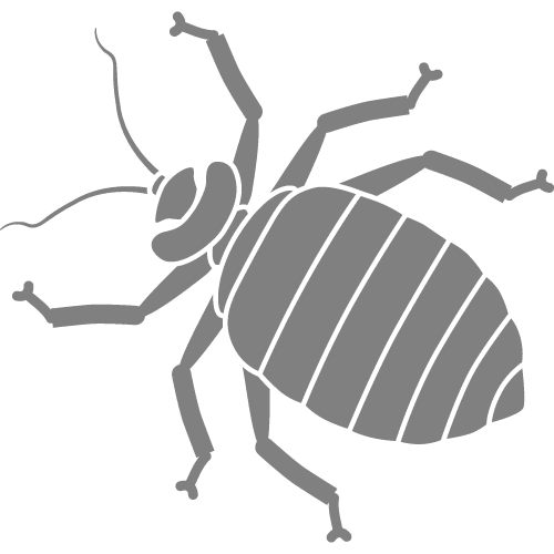 bed-bug-pest-control Calgary