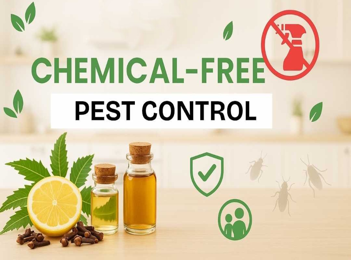 Chemical free pest Control Calgary