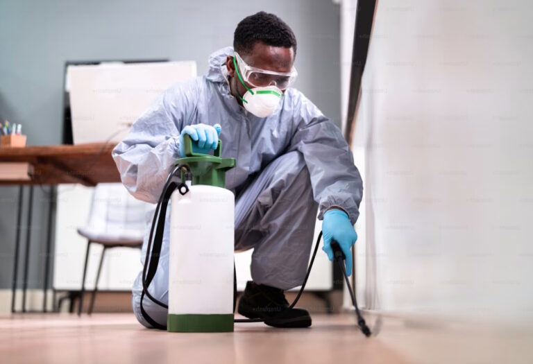 Pest Control for Property Managers